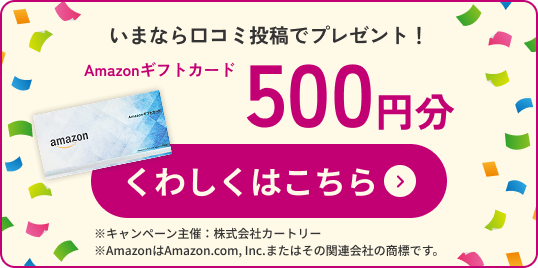 いまなら口コミ投稿でプレゼント！Amazonギフトカード500円分 くわしくはこちら